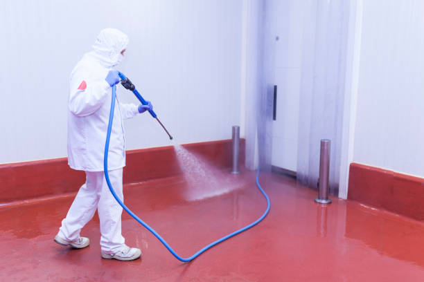 Spring Cleaning in Orchidlands Estates, HI